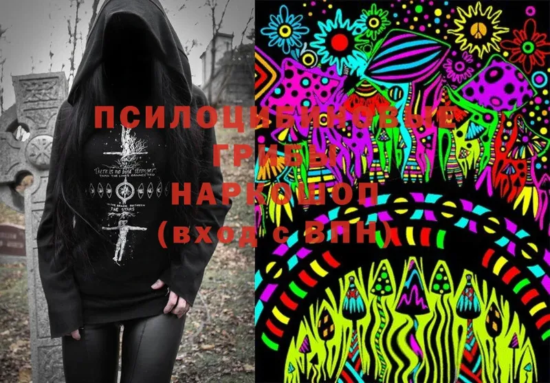 Псилоцибиновые грибы Magic Shrooms  hydra как войти  Верхний Тагил 